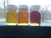 Maple Syrup by Grade