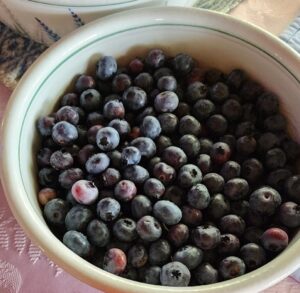 Bowl of blueberries