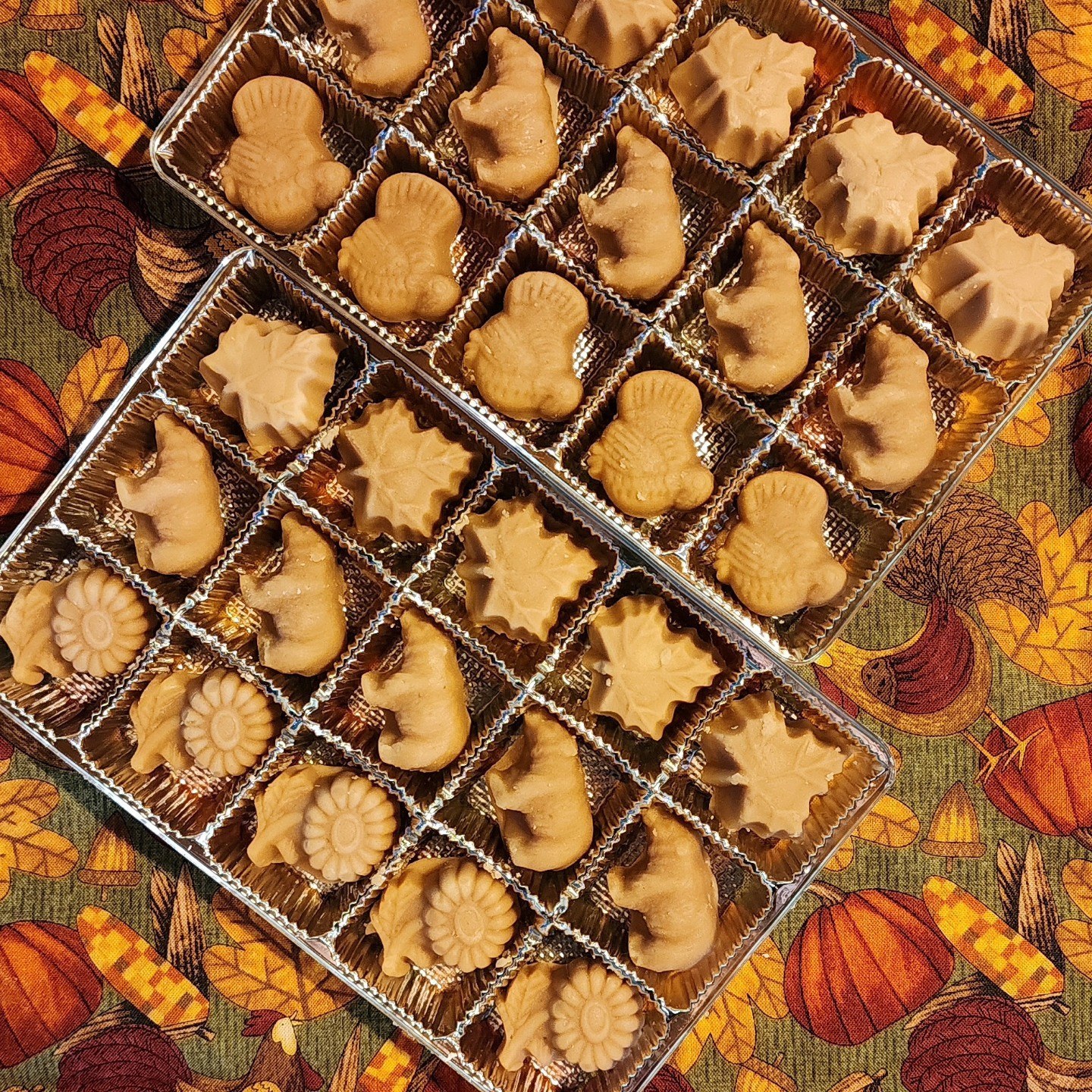 Maple Candy